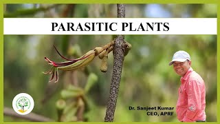 Parasitic plants Dr Sanjeet Kumar Ambika Prasad Research Foundation Odisha medicinalplant [upl. by Bergeron]