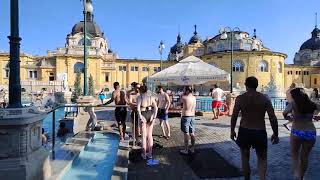 frequency walk at szechenyi Bath in Budapest Hungary budapesthungary [upl. by Annasiul720]