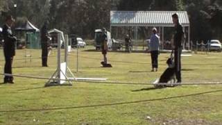 QLD State Obedience Trials 2009 OPEN [upl. by Linneman]