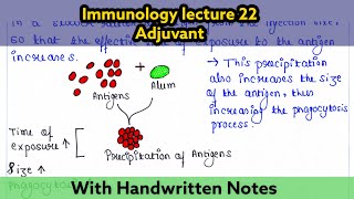 Adjuvant  Immunology lecture 22  Readymade notes for exam [upl. by Atsirc]