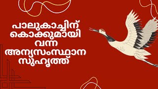 ഒരു വെറൈറ്റി ഗിഫ്റ്റ്  MRIDVA [upl. by Fanny]