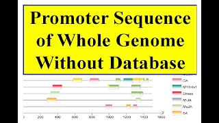 Promoter region file of whole genome [upl. by Kliment972]