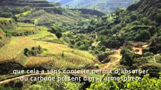 Hope in a changing climate by John Liu  French subtitles [upl. by Yenhoj]