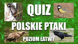 Ptaki Polski  Quiz rozpoznawanie ptaków poziom łatwy [upl. by Hamer]