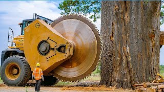 Extreme Dangerous Fastest Big Chainsaw Cutting Tree Machines  Monster Stump Removal Excavator 30 [upl. by Suellen625]