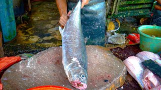 FISH MARKET ACEHNESEE 2024 🔪🔥 BIG WAHOO FISH CUTTING SKILLS BY EXPERT FISH CUTTER [upl. by Gian]