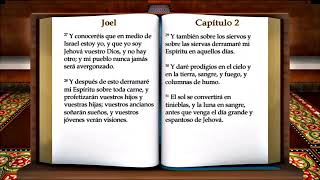 Libro de Joel Lectura RV1960 [upl. by Tur]