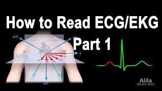 How to Read ECGEKG Part 1 Animation [upl. by Dulcea]