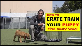 How to CRATE Train Your Puppy  The EASY Way to Crate Train Your Dog [upl. by Ysied]