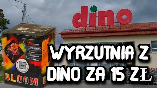 💥WYRZUTNIA BLOOM Z DINO ZA 15 ZŁ🦖 202324 Czy warto fajerwerki fireworks sylwester firework [upl. by Carlotta]