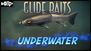 Choosing Glide Baits for Bass Fishing  Underwater Comparisons [upl. by Hashum]