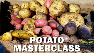 Potato Growing Masterclass Complete Guide to Grow Potatoes [upl. by Duaner]