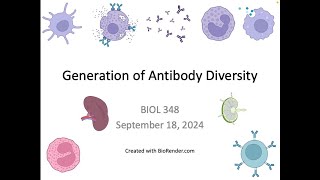 Immunology Fall 2024 Lecture 11 Generation of Antibody Diversity VDJ Recombination Part 1 [upl. by Hilton]