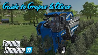 Guide to Grapes amp Olives  FS22  PS4  Console  Farming Simulator 22 [upl. by Esela]