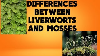 Differences between Liverworts and MossesBoard Competitive exams [upl. by Anirol335]