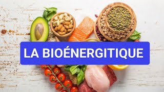 PHYSIOLOGIE✅RATION ALIMENTAIRE 🥗👅BIOÉNERGÉTIQUE 1ÈRE MÉDECINE ✅🩺 [upl. by Kevon672]