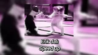 ERİK DALISPEED UP [upl. by Zacek]