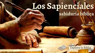 Los libros sapienciales de la Biblia [upl. by Eelyah]