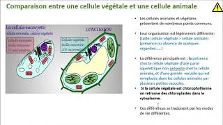 Seconde Végétale Activité 3 le chloroplaste partie 2 [upl. by Sedda]