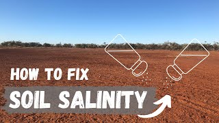 Soil Salinity  What is it and how to fix it  Regenerative Agriculture [upl. by Nalo]