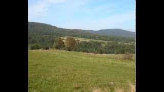 Українська народна пісня Ой убрали Куста Ukrainian Folk Song Ukraińska pieśń Beskid Niski Zdjęcia [upl. by Macleod]