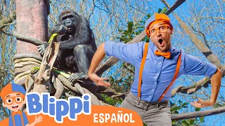 Blippi en el Zoo  Alimenta a los Animales  Blippi Español  Videos educativos para niños [upl. by Faber]