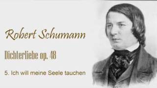 Schumann  Dichterliebe op48  no5wmv [upl. by Esdnil766]