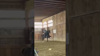 MOTIONNN 🤩 Ticketrot equestrian hackney pony saddleseat edit eq [upl. by Elamor503]