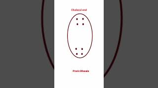 Development of female gametophyte  Embryosac  Pravin Bhosale [upl. by Orlantha]