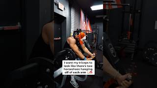 3 movements for HORSESHOE TRICEPS 🧲💪🏼 motivation hardwork dedicated [upl. by Enilaf]