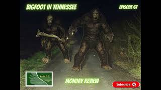 Meet the Field Researcher Who Saw BIGFOOT in Tennessee [upl. by Gora]