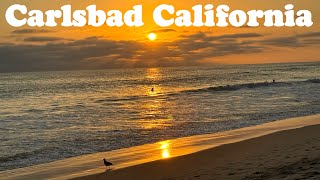 Carlsbad Beach California Walking Tour 🌴☀️ 4K [upl. by Kedezihclem603]