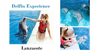 Delfin Experience in Rancho Texas Park  Lanzarote🐬 [upl. by Kreager]