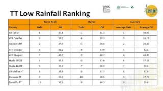 GRDC Crop Updates 2829 February 2012 Western Region Perth WA Matt Davey [upl. by Nisen148]