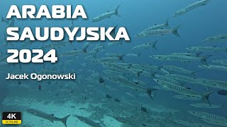 Nurkowanie Arabia Saudyjska 2024 Jacek Ogonowski [upl. by Adnylem93]