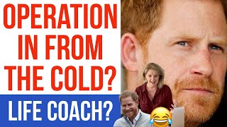 HARRY Wants A Way Back PA princeharry betterup lifecoach [upl. by Tterrab152]