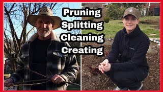 How to Divide Daisies Pruning Hellebores Tree Pruning and Creating a Garden Space [upl. by Selmore]