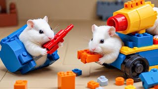 The Best Hamster Challenges 😱  Hamster Prison Maze Escape🛑Live Stream 25 [upl. by Sofko]