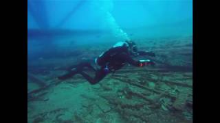 Frying Pan Tower Shark Dive [upl. by Inus732]