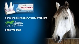 BreatheWise™ Nasal Spray [upl. by Riva244]