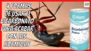 🔴 ¿CÓMO ELIMINAR Y ACABAR CON LAS HORMIGAS EN CASA PARA SIEMPRE 🔴 BICARBONATO PARA LAS HORMIGAS [upl. by Alexia]