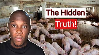 The Truth About Nigeria’s Pig Industry [upl. by Prouty]