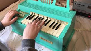 Rosedale Electric Chord Organ [upl. by Gweneth]