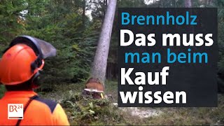 Die Maßeinheiten beim Brennholzkauf Festmeter Ster Schüttraummeter  Abendschau  BR24 [upl. by Ellehcim]