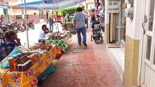 Pasando por el centro de Cerritos San Luis Potosí [upl. by Idnib]