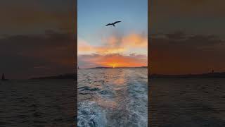 Sunset Cruise on the Bosphorus  Istanbul’s Magic Hour [upl. by Gittle213]