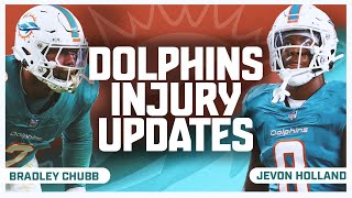 Miami Dolphins Injury Update  Fowler Predicts Dolphins Playoffs [upl. by Ambrogio]