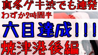 真冬の爆釣！2時間半で六目達成！焼津港二日目。2月の厳寒期の堤防からヒット連発。 [upl. by Edla]