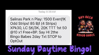 Salinas Park N Play Bingo Sunday Matinee Session🥰 [upl. by Trudnak]