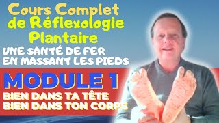 Réflexologie Plantaire Cours Gratuit en Direct Jamais diffusé en Public  Partie 1 [upl. by Nylad]